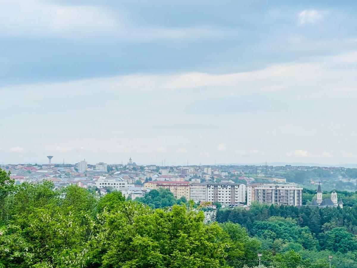 Altheda Living Zamca C4 Appartement Suceava Buitenkant foto
